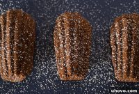 Decadent Dark Chocolate Madeleines