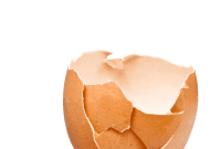 Perfect Bakes Without Eggs