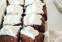 Cloud Kissed Chocolate Chip Brownies