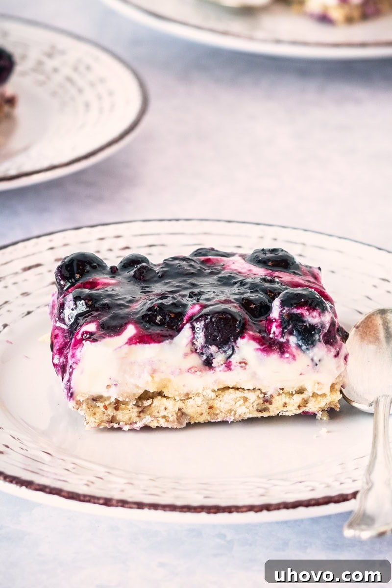 A perfectly portioned slice of Blueberry Jamboree on a plate with a spoon, showcasing its creamy layers and fresh blueberry topping.