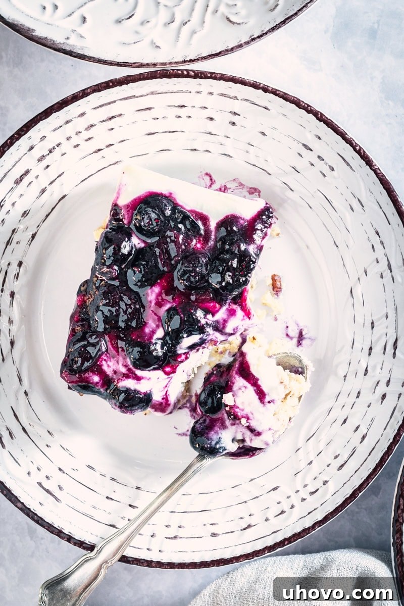 Overhead view of a beautifully presented slice of Blueberry Jamboree on a white and gray patterned plate, ready to be enjoyed.