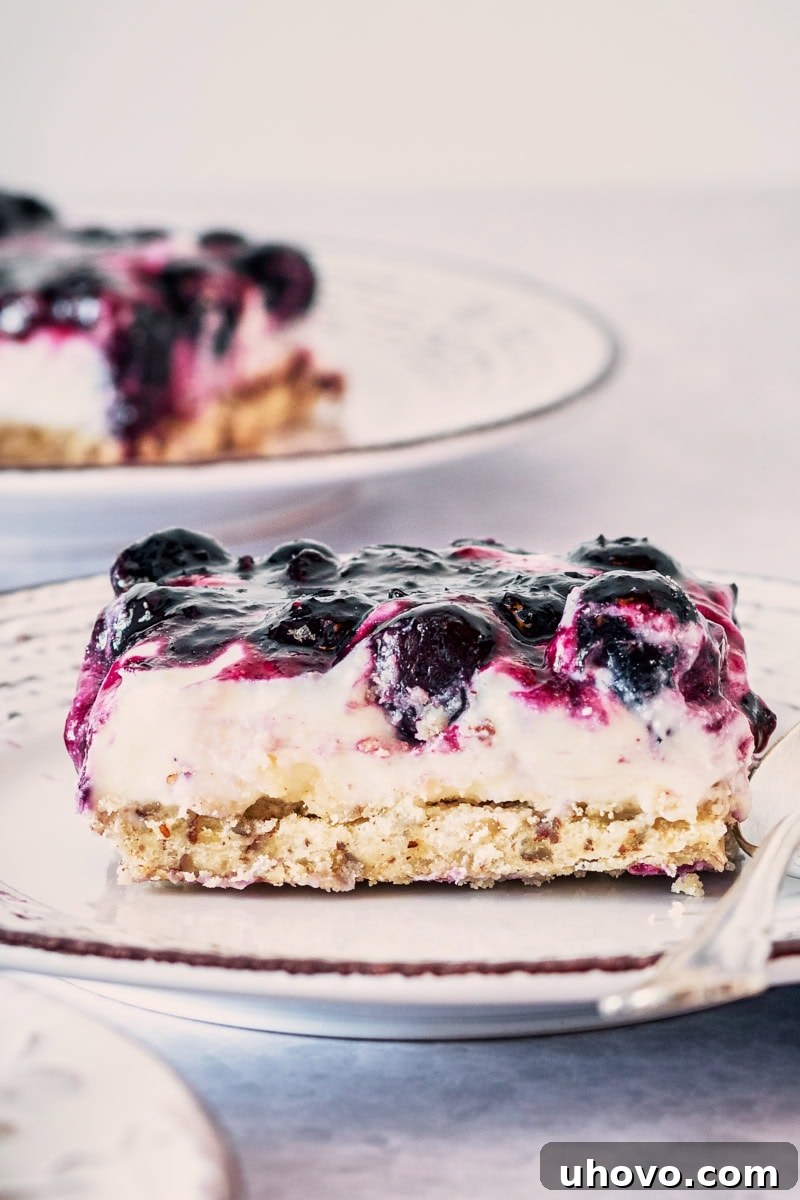 A close-up shot of a perfect slice of Blueberry Jamboree, showcasing the distinct layers of crust, cream cheese filling, and fresh blueberry topping.