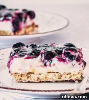 A slice of Blueberry Jamboree on a white and gray plate, showcasing the beautiful layers.