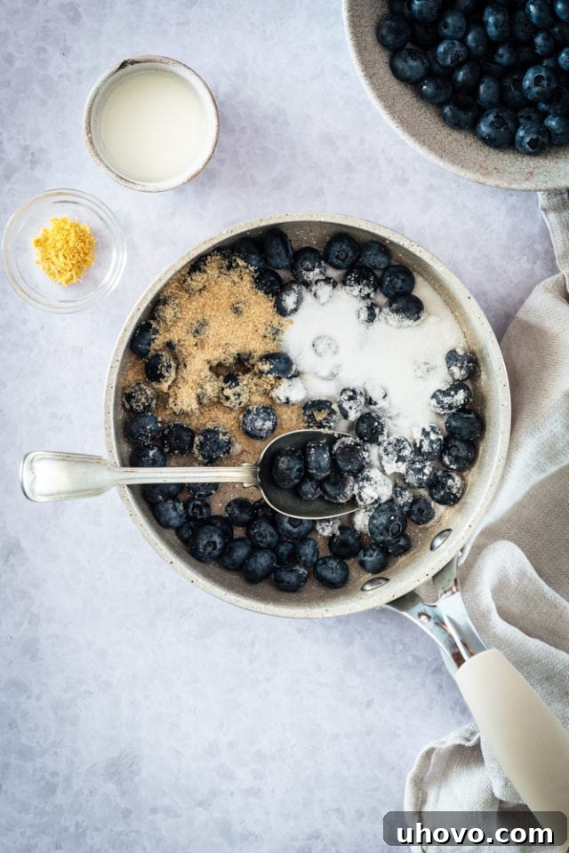 Overhead view of fresh blueberries and a mix of granulated and brown sugar in a saucepan, ready to be cooked.