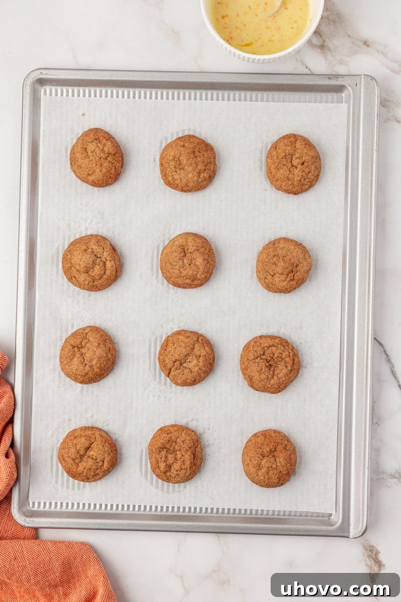 overhead view of freshly baked sugar and spice cookies