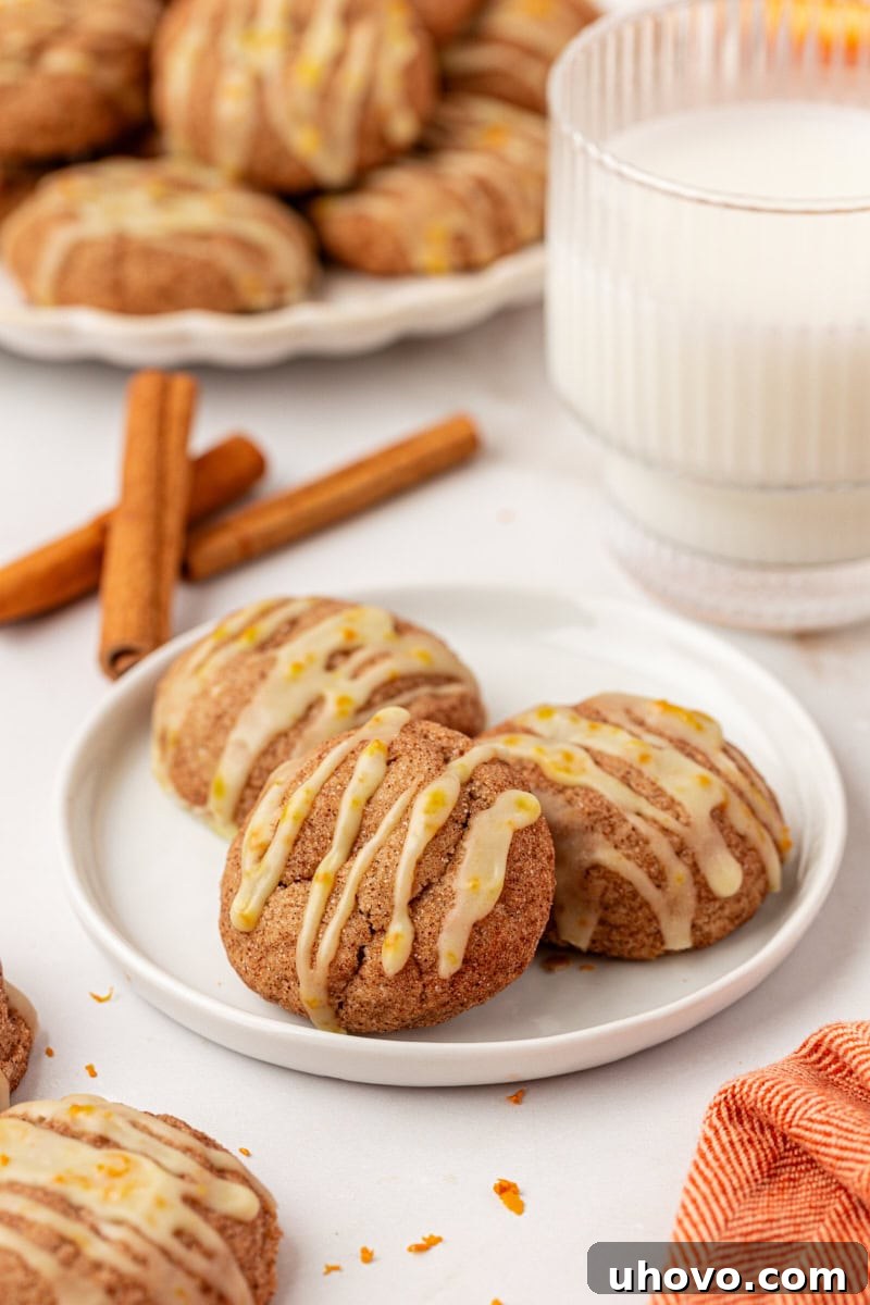 three sugar and spice cookies on a white plate with more cookies and cinnamon sticks in the background