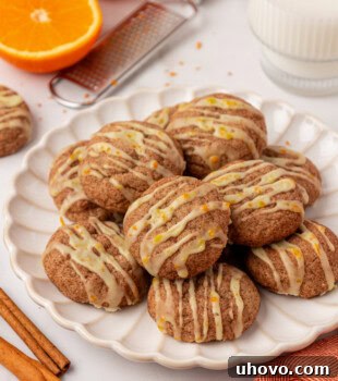 sugar and spice cookies served on a white plate