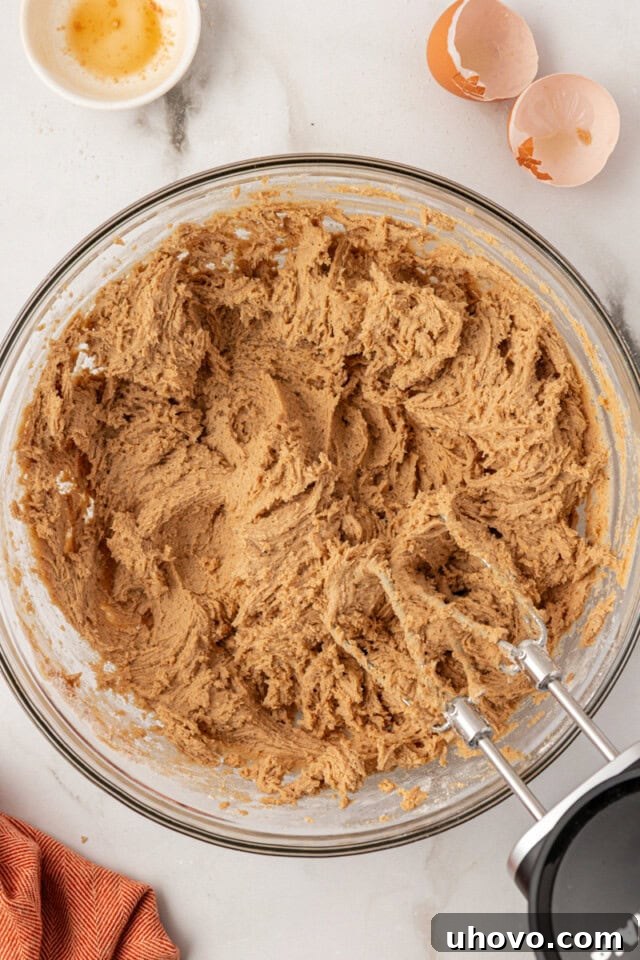 overhead view of sugar and spice cookie dough in a glass mixing bowl