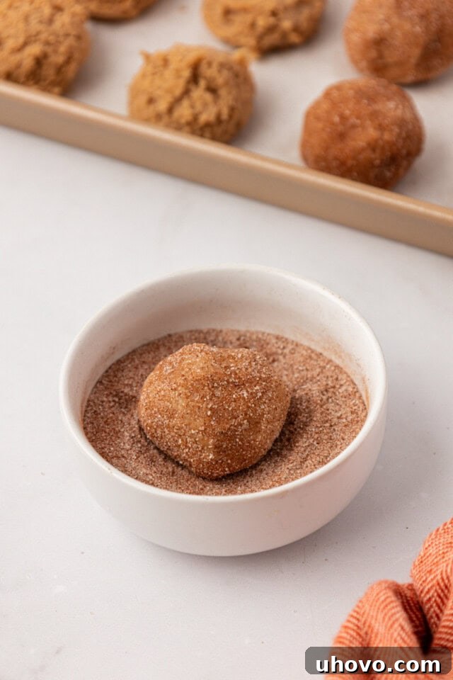 a sugar and spice cookie dough ball being rolled in a bowl of cinnamon-sugar
