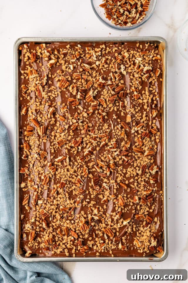 The finished chocolate peanut butter cereal bars in the pan, generously sprinkled with chopped nuts and golden toffee bits on top of the chocolate layer.