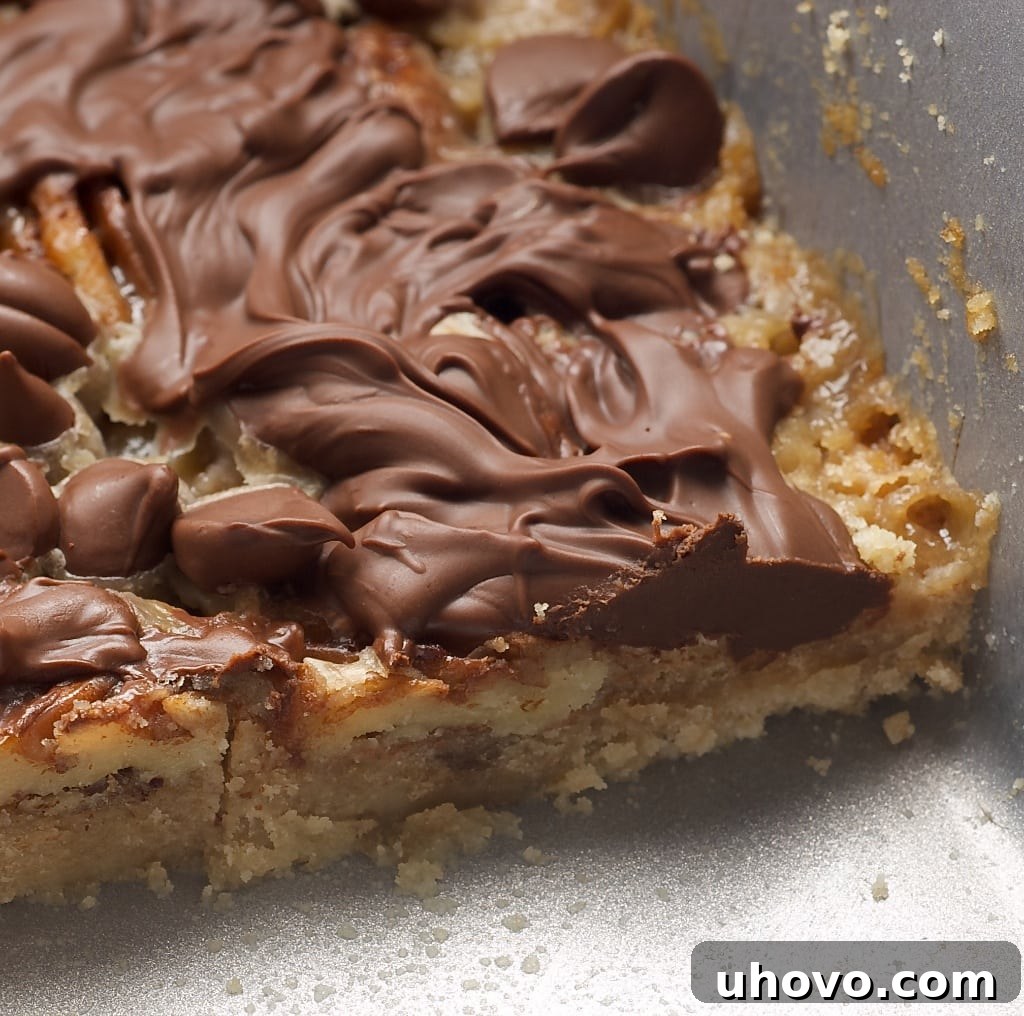A close-up of delicious Caramel and Chocolate Pecan Bars, showcasing layers of buttery crust, gooey caramel, and rich chocolate with pecans.
