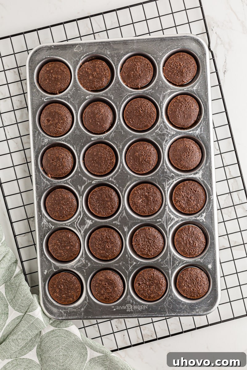 Overhead view of chocolate mousse mini cupcakes in pan