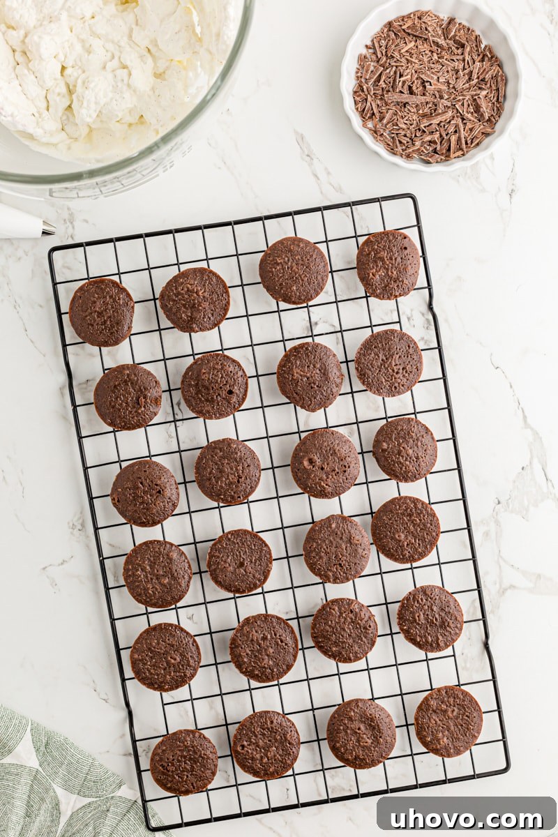 Overhead view of chocolate mousse mini cupcakes on wire rack