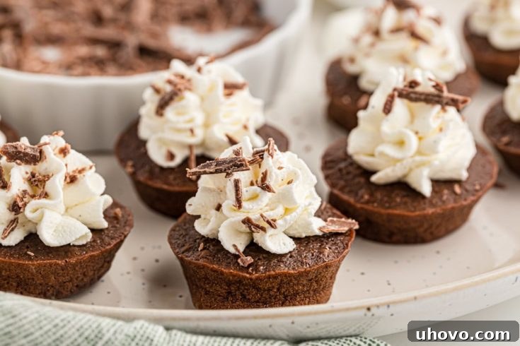 Chocolate mousse mini cupcakes on tray