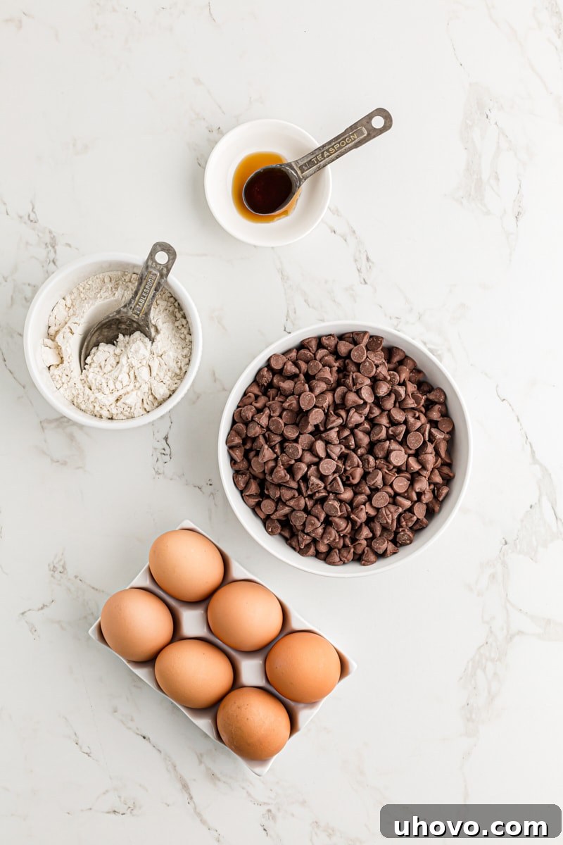 Overhead view of ingredients for chocolate mousse mini cupcakes