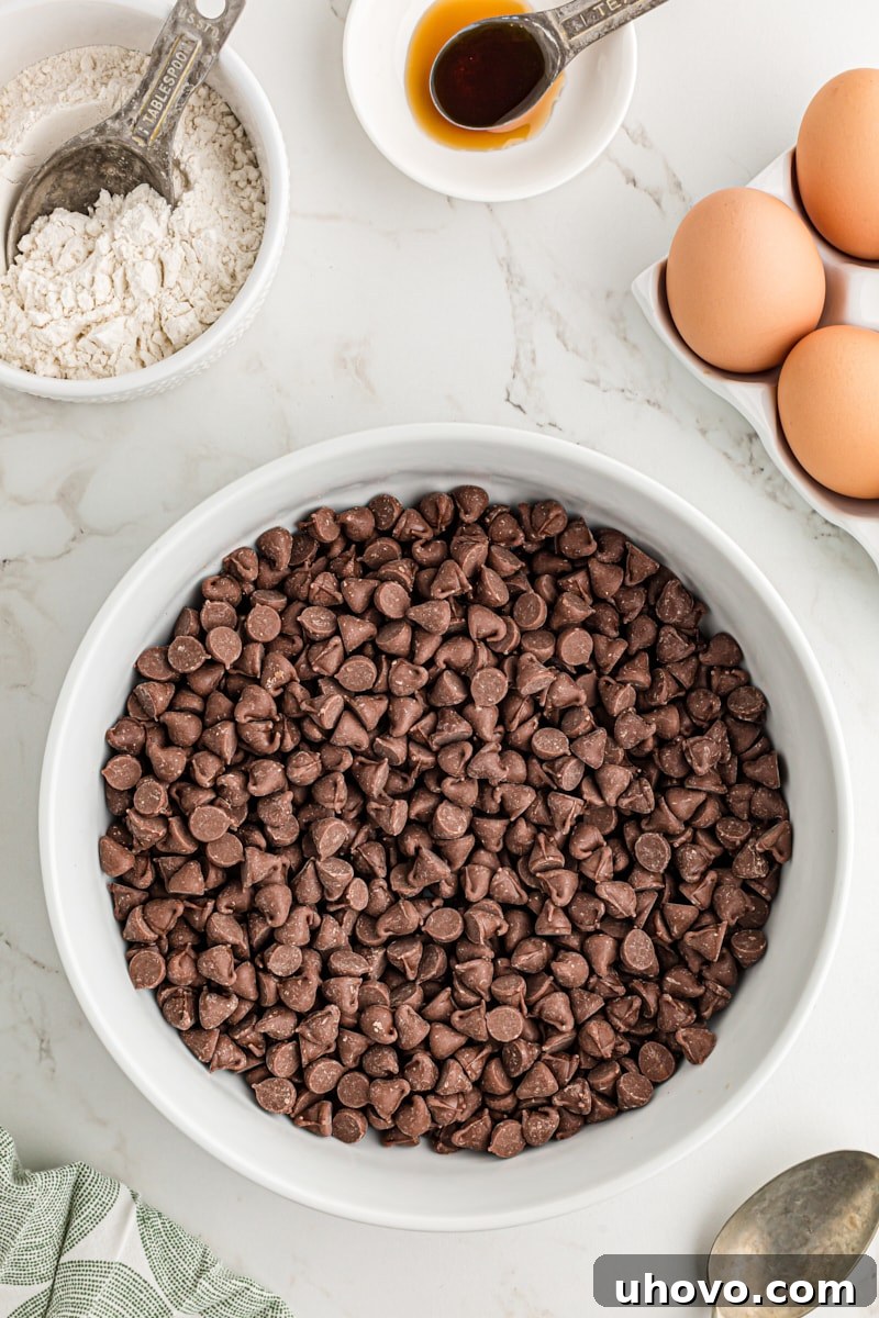 Chocolate chips in a white bowl