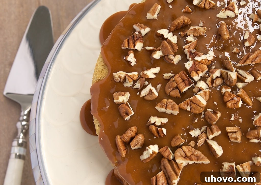 Pecan Cake with Caramel Mousse combines layers of nutty cake with a rich caramel mousse and caramel sauce. Delicious!