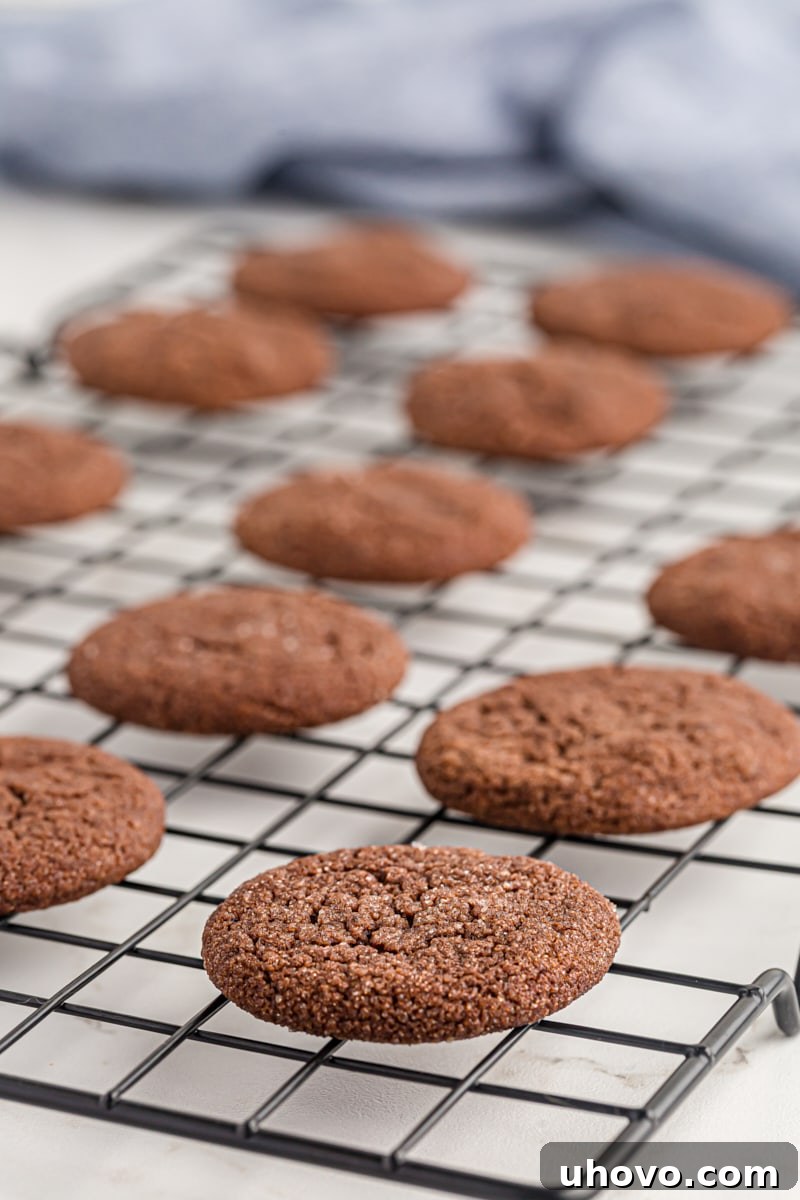 Double Chocolate Brownie Cookies arranged beautifully on a metal wire rack