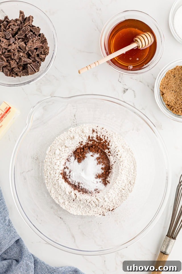Overhead view of dry ingredients (flour, cocoa, baking soda, salt) in a mixing bowl before stirring