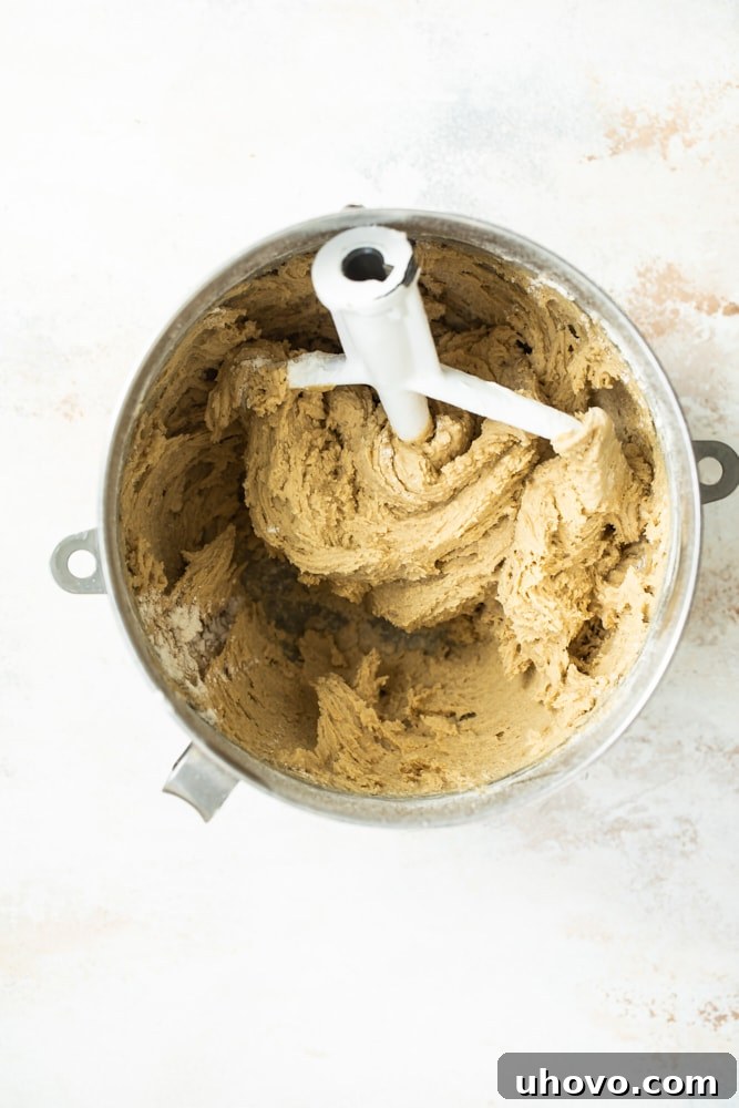 Overhead shot of perfectly mixed cookie dough resting in a mixing bowl, ready for chilling and shaping.