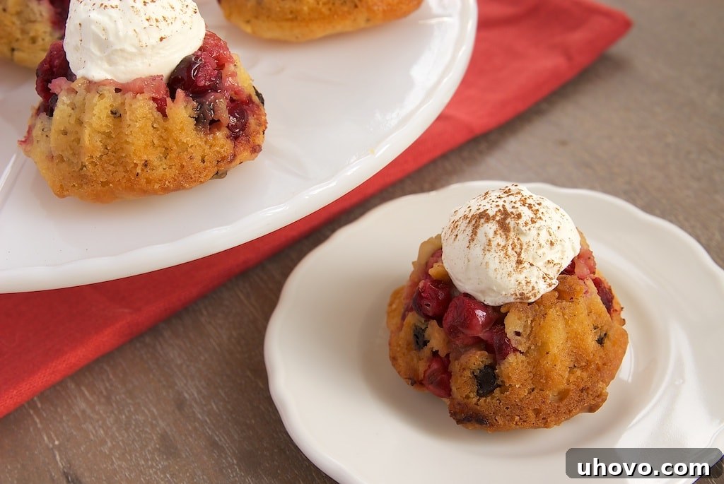Mini Cranberry Chocolate Upside-Down Cakes | Bake or Break