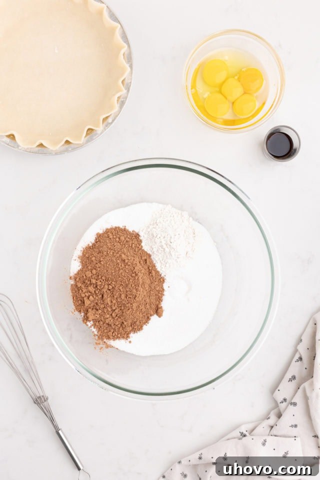 overhead view of granulated sugar, unsweetened cocoa powder, all-purpose flour, and salt in a separate mixing bowl