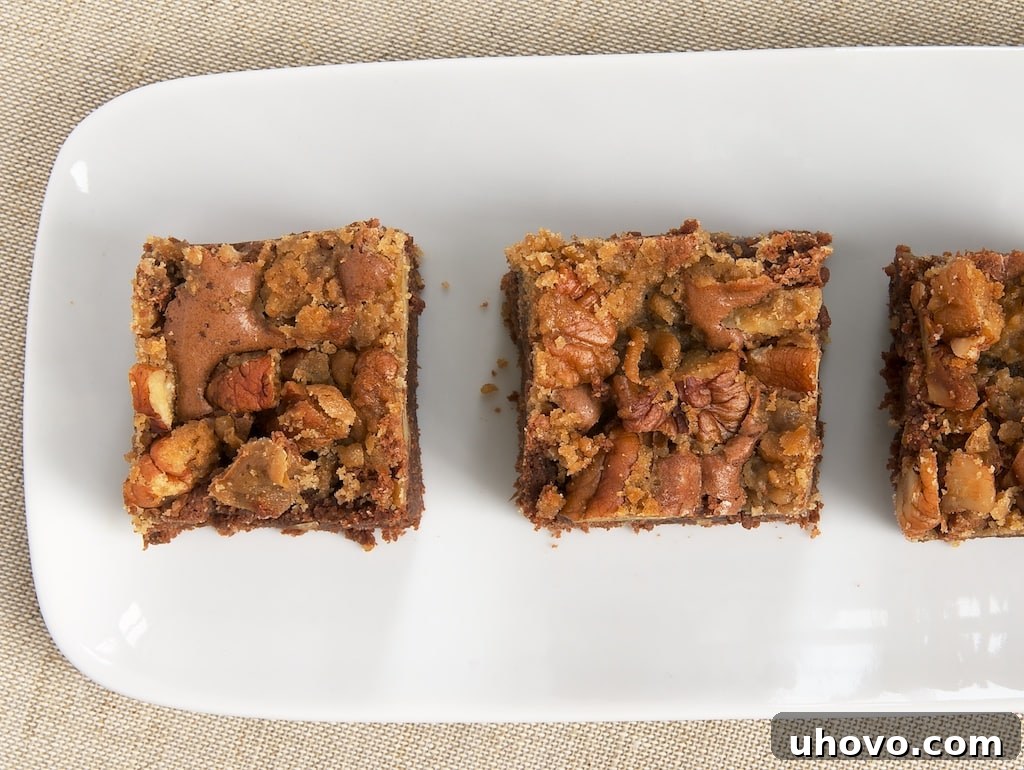 Praline Brownies combine rich brownies with a simple praline topping. Delicious! - Bake or Break