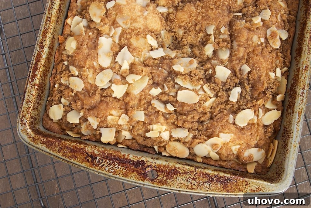 A ribbon of sweet fruit ribbons through this Jam-Swirled Coffee Cake. Great for breakfast, brunch, or a coffee break! - Bake or Break