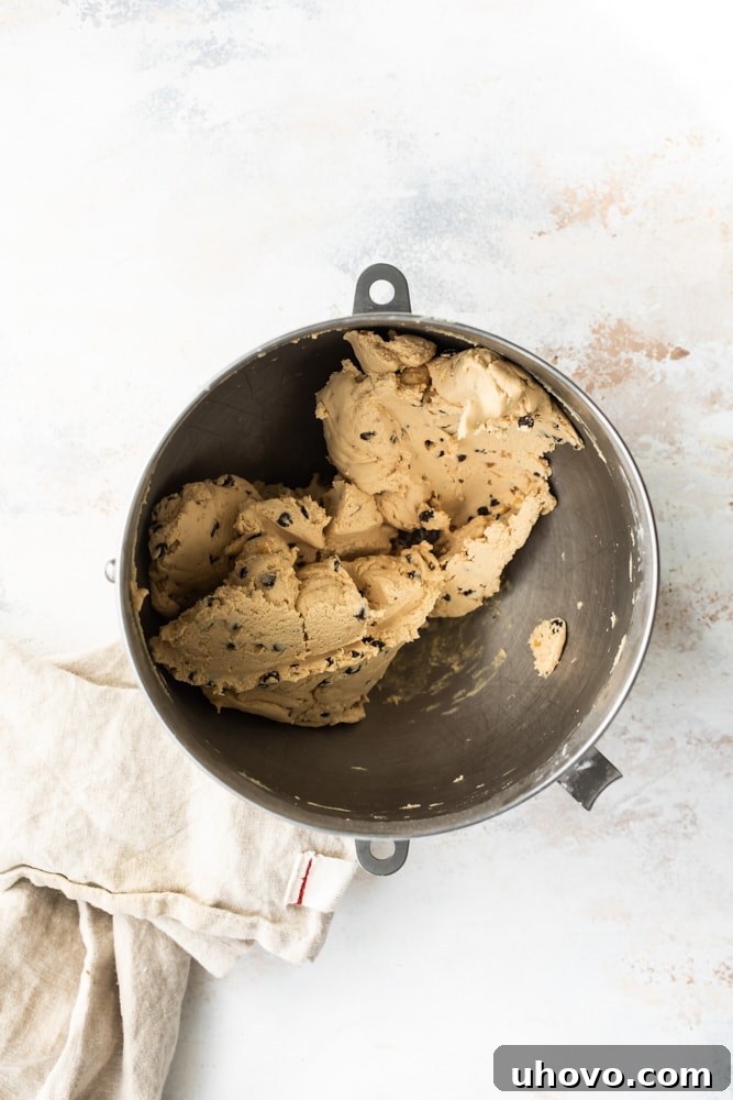Overhead view of chocolate-dipped peanut butter meltaway cookie dough with chocolate chips in a mixing bowl.