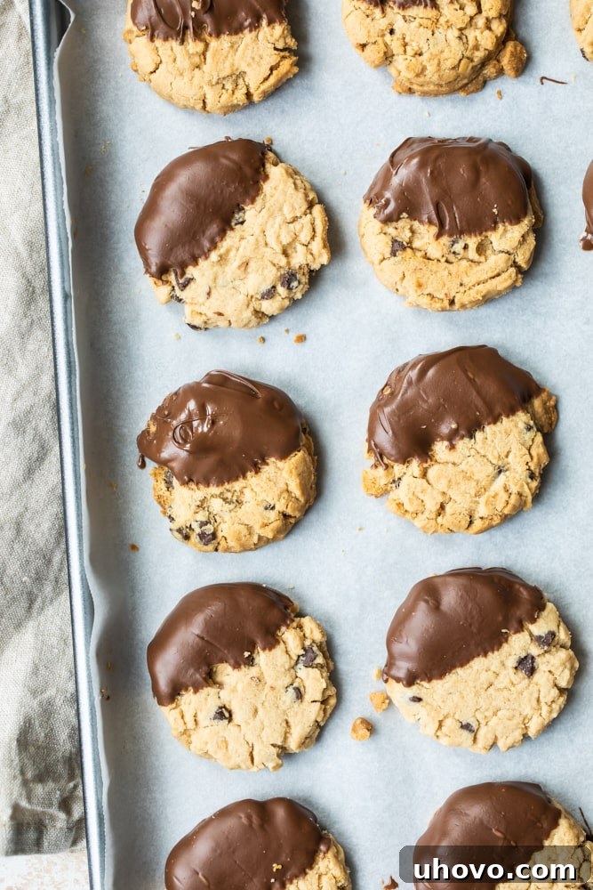 Overhead view of finished chocolate-dipped peanut butter meltaway cookies arranged neatly on a parchment-lined baking pan.