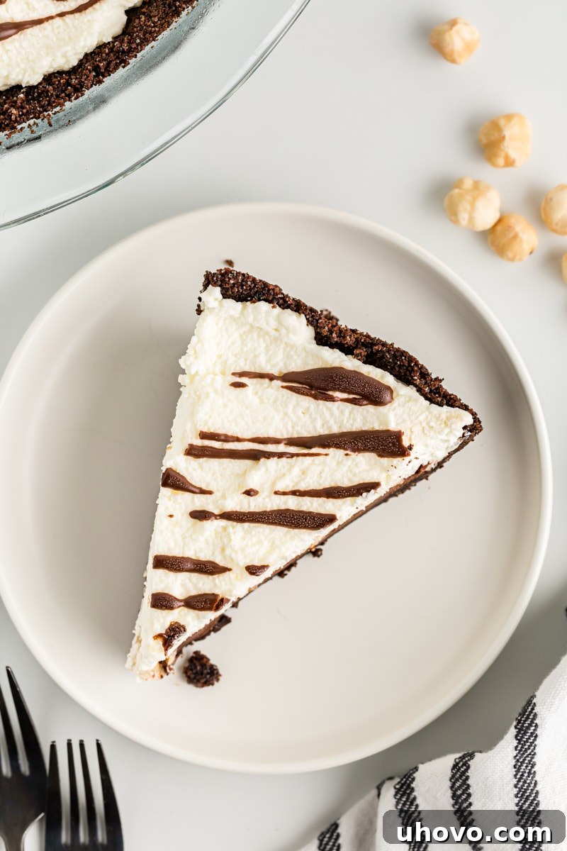 An overhead shot of a single slice of Chocolate Hazelnut Black-Bottom Pie on a white plate, highlighting the perfectly defined layers.