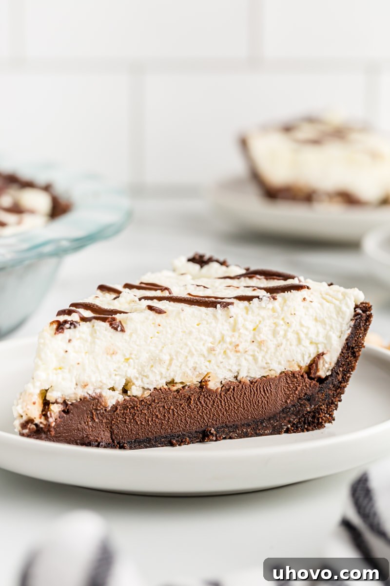An inviting close-up of a slice of Chocolate Hazelnut Black-Bottom Pie, highlighting the textural contrast between the smooth ganache, crunchy hazelnuts, and light whipped cream.