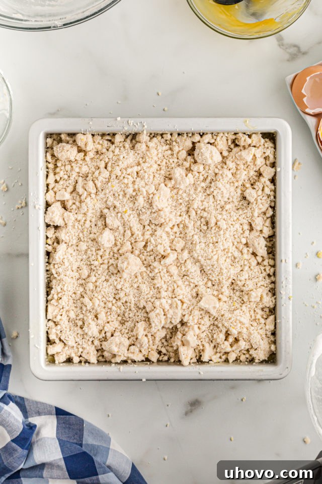 Overhead view of unbaked lemon yogurt crumb cake in pan