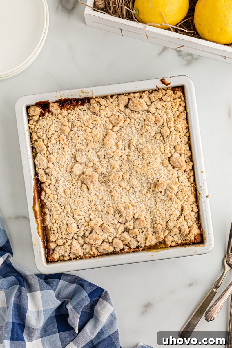 Overhead view of lemon yogurt crumb cake in pan