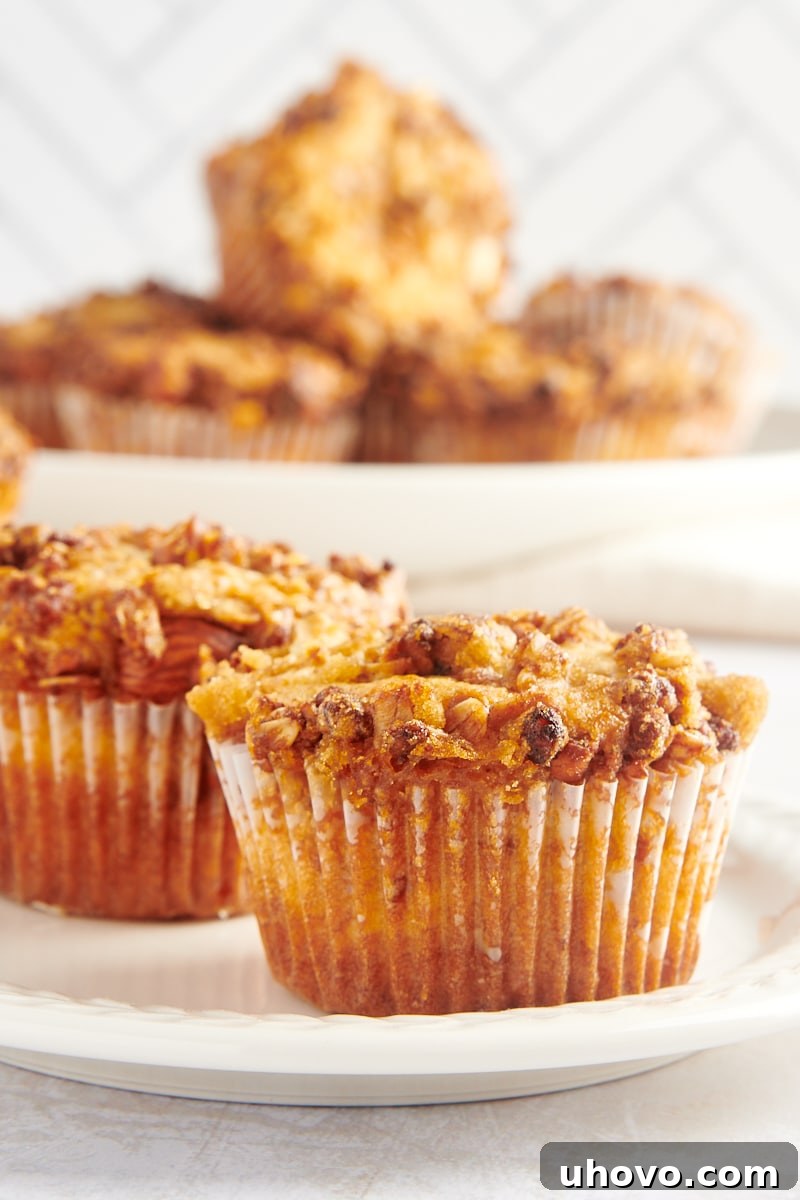 Two granola yogurt muffins arranged on a clean white plate, offering a closer look at their appealing texture and streusel topping.