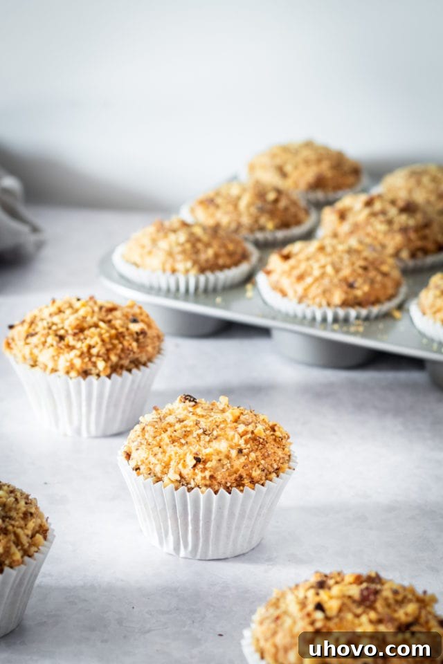 A delectable spread of Sour Cream Coffee Cake Muffins, some in a muffin pan and others artfully arranged on a gray surface.