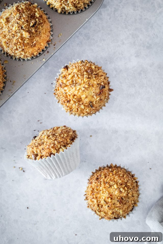 Overhead perspective of beautifully baked coffee cake muffins, cooling gracefully on a light gray surface.