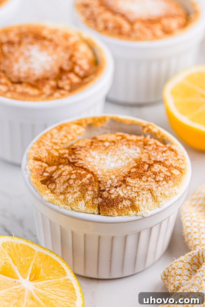 Delightful Meyer Lemon Pudding Cakes in pristine white ramekins, showcasing their golden-brown tops.