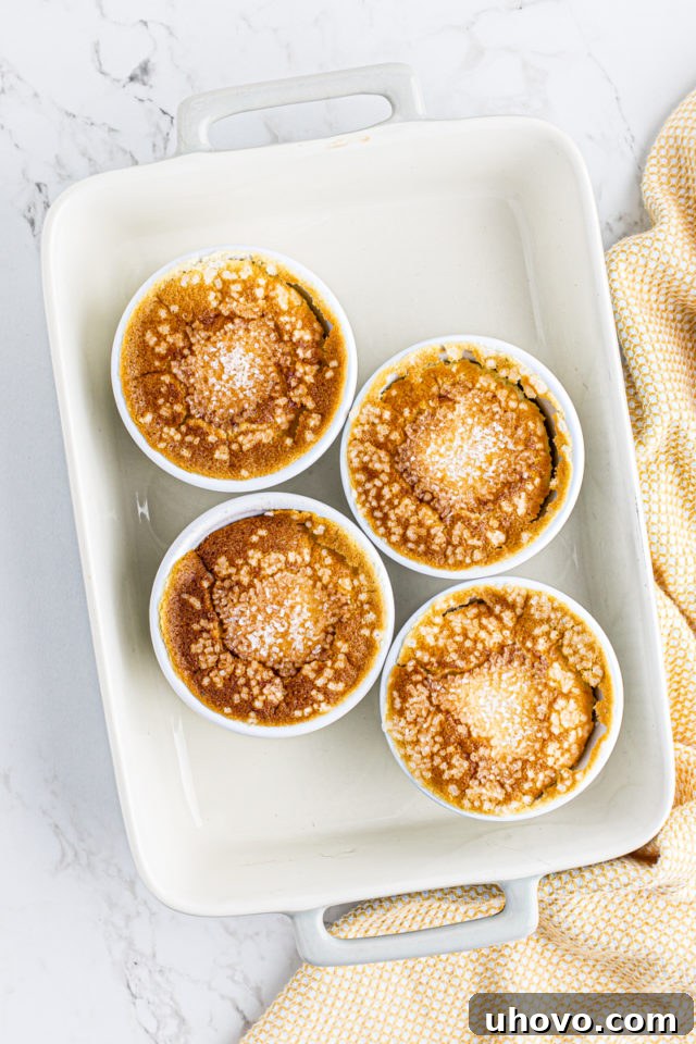 Freshly baked Meyer lemon pudding cakes, with golden-brown tops, just out of the oven.