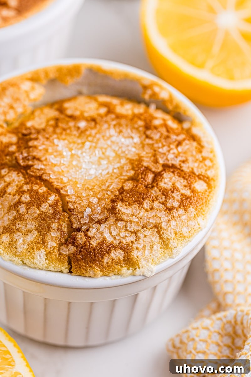 A tantalizing close-up of a Meyer lemon pudding cake, showcasing its moist cake and creamy pudding layers.