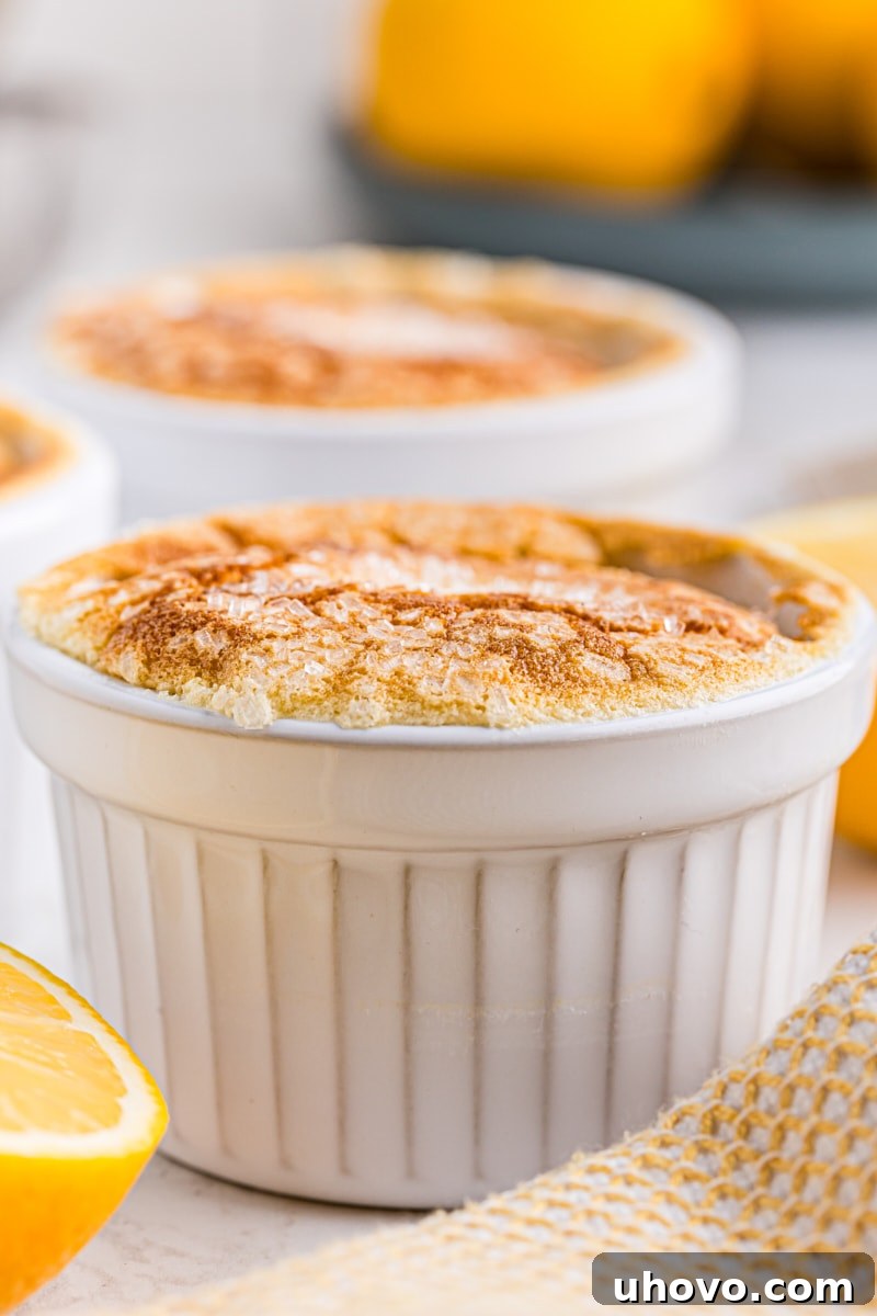 Two perfectly baked Meyer lemon pudding cakes in white ramekins, ready to be enjoyed.