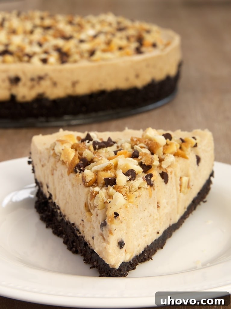 Nut butter, chocolate, and cream cheese create the perfect dessert combination in this easy Nut Butter No-Bake Cheesecake! A delightful and simple recipe from Bake or Break.