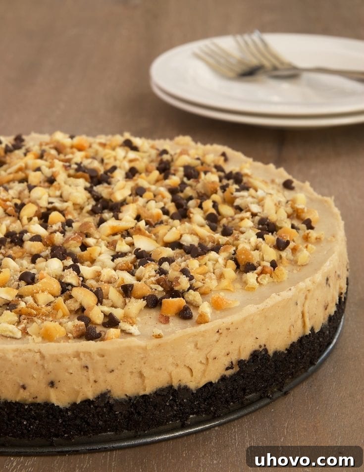Nut butter, chocolate, and cream cheese are the perfect dessert combination in this Nut Butter No-Bake Cheesecake! - Bake or Break