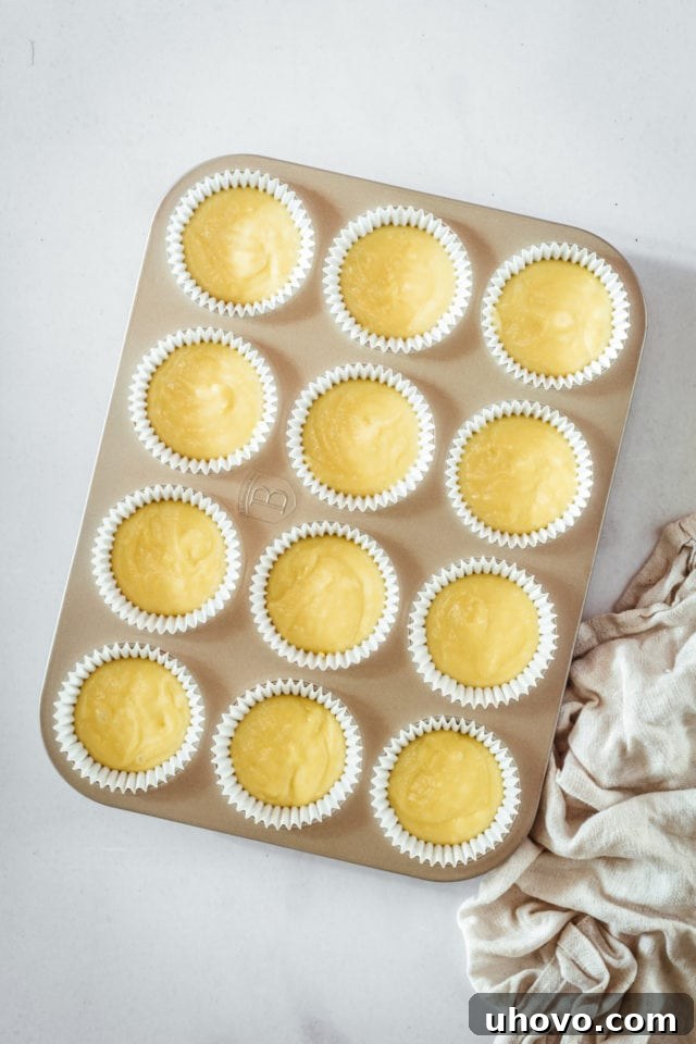 Overhead view of muffin batter portioned into lined muffin tins.
