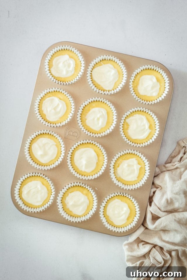 Overhead view of cream cheese muffins in a baking tin, with the creamy filling added but before the pecan topping.