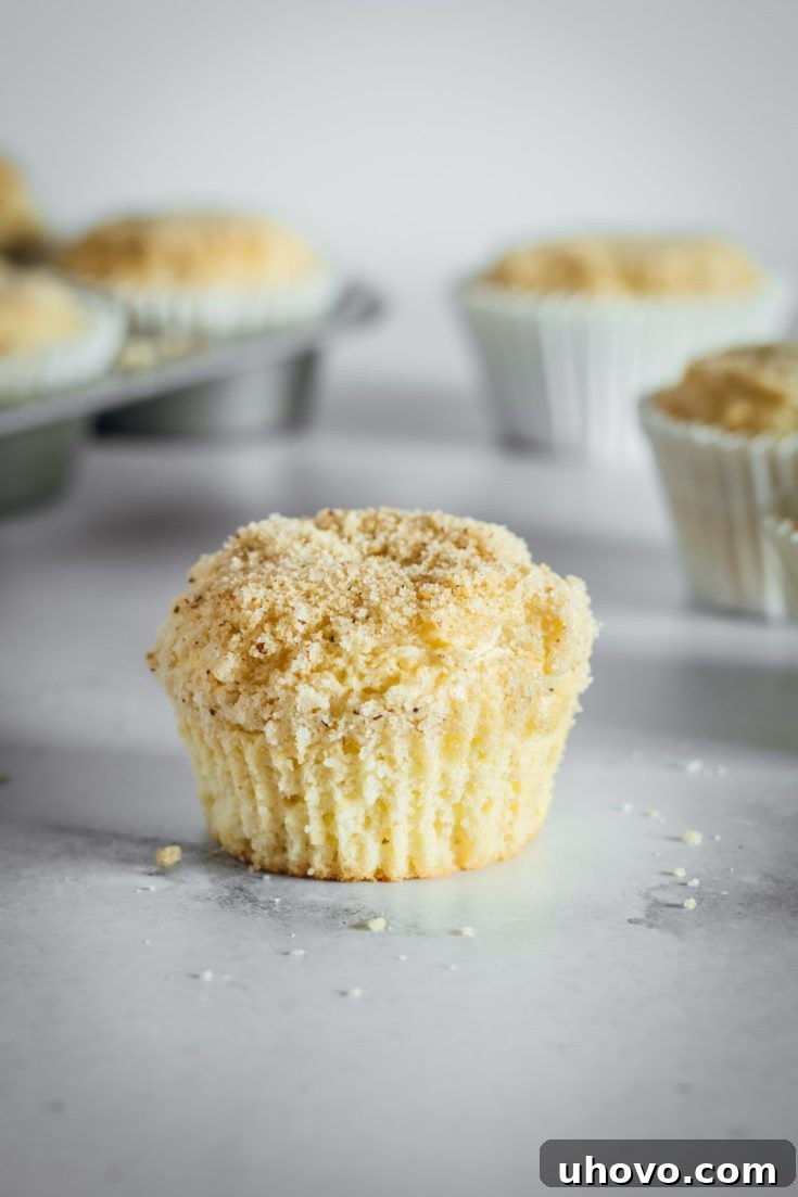 Cream cheese muffin with liner removed