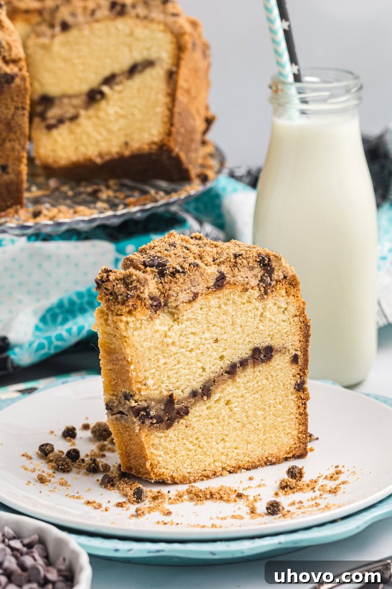 A delectable slice of chocolate chip crumb pound cake on a white plate, with the remaining cake and a bottle of milk elegantly blurred in the background, inviting a closer look.