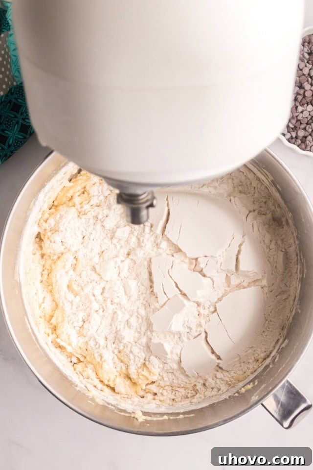 A clear overhead image illustrating the gradual addition of dry ingredients to the wet ingredients for the chocolate chip crumb pound cake batter in a stand mixer.