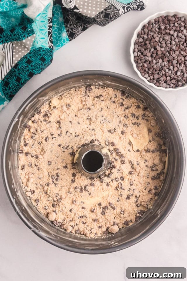 An overhead view of a tube pan, revealing the first layer of cake batter topped with a generous sprinkle of crumb mixture, ready for the next layer.