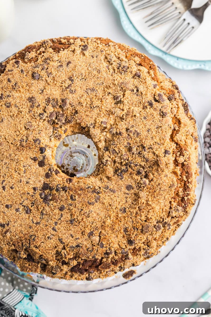An elegant overhead view of a perfectly baked chocolate chip crumb pound cake, beautifully presented on a clear glass cake stand, ready to be admired and enjoyed.